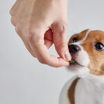 商品価格変更のご案内